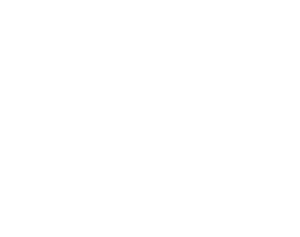 andrex logo